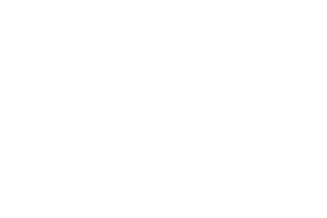 Nerin